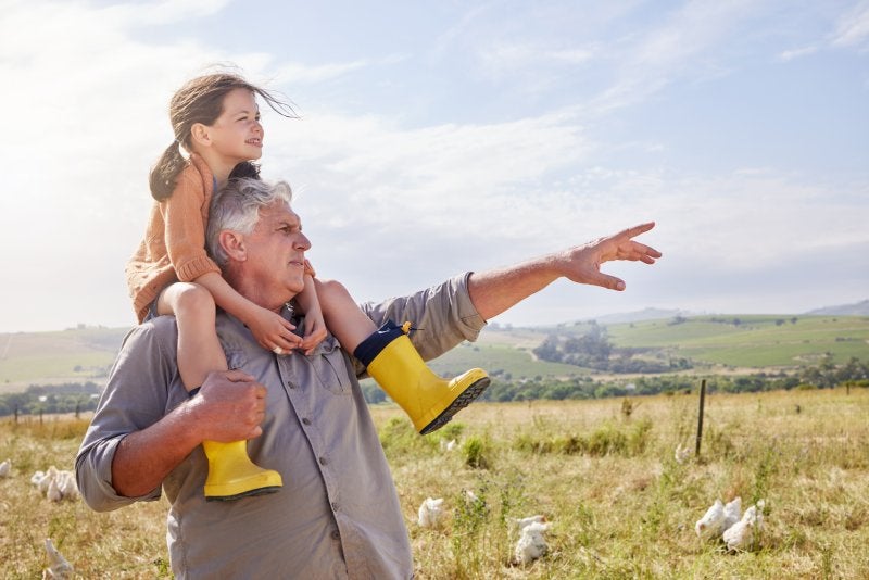 Abuelo cargando a su nieta sobre los hombros, señalando hacia el horizonte en un campo soleado con gallinas. 